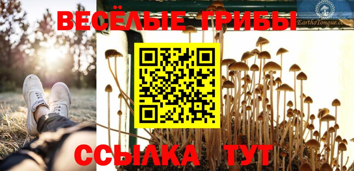 Галлюциногенные грибы ЛСД  Псилоцибиновые грибы ЛСД  Дзержинский  Вход с VPN 